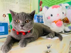 -百信宠物医院(东升街店)