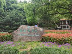 -赭山公园