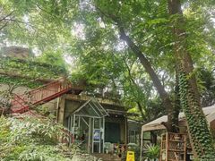 -武汉大学-樱园