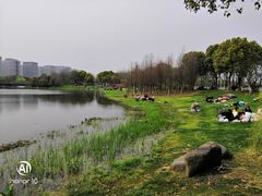 -尚贤河湿地