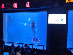 -太平洋海底世界