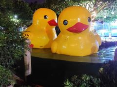-天怡·鱼工厂(临江店)