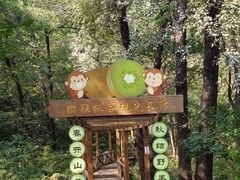 -大岭沟猕猴桃谷风景区