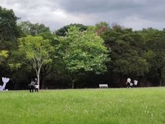 -福建鲤鱼洲酒店