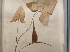 -重庆自然博物馆(新馆)