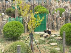 -大连森林动物园