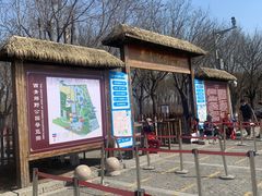 -西青郊野公园