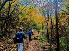 -东白山