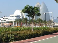 -野狸岛