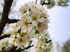-野鸭湖国家湿地公园