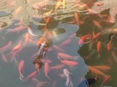 -重元寺香积厨素斋馆