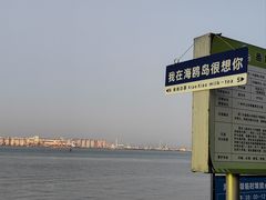-海鸥岛