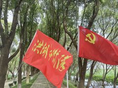 -洪湖生态旅游区