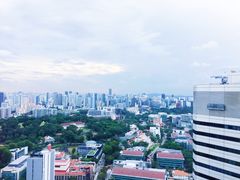 -新加坡瑞士史丹福酒店