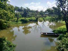 -鹤之洲湿地公园