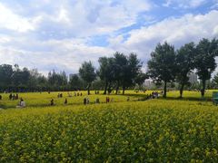 -长白岛森林公园