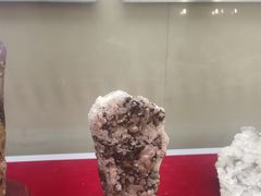 -延庆地质公园博物馆