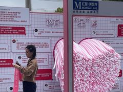 -红星美凯龙(上海沪南店)