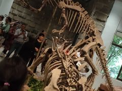 -自贡恐龙博物馆