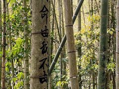 -千泷沟大瀑布旅游区