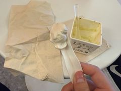 -野人先生现做冰淇淋(北京王府井东方新天地店)