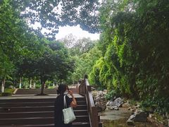 -翠屏公园
