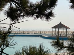 -日照海滨国家森林公园