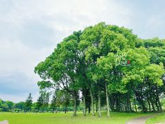 -福建鲤鱼洲酒店