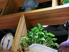 -探鱼·鲜青椒爽麻烤鱼(银泰城店)