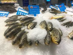 -麦德龙(京顺路商场店)