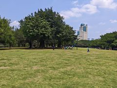 -南宁南湖公园