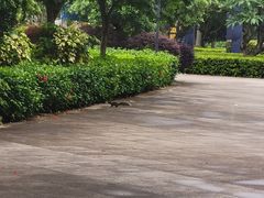 -南宁花花大世界景区