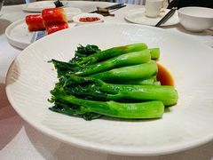 -金粤九号(李公堤店)