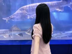 -重庆欢乐海底世界