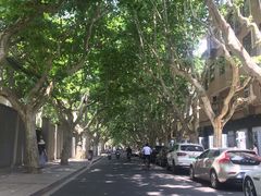 -RAC BAR(安福路店)