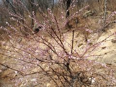 -鬼笑石后山停车场