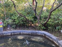 -西安国际创新人才交流中心•药浴温泉