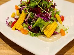 -Hatsune隐泉日式料理(三里屯太古里店)