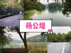 -西湖游船