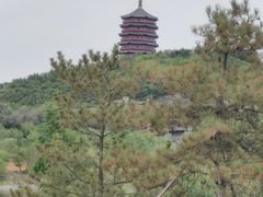 -永定河休闲森林公园