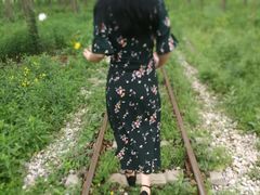 -合肥滨湖国家森林公园