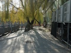 -莲湖公园