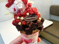 -哈根达斯(大洋百货店)