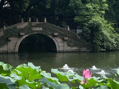 -绮园景区