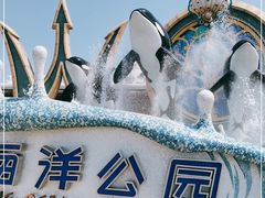 -上海海昌海洋公园