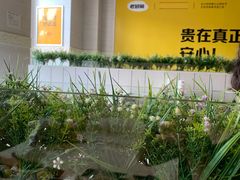 -老娘舅餐厅(黄龙体育中心店)