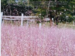 -牛岗山公园