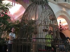 -深圳东部华侨城茵特拉根酒店