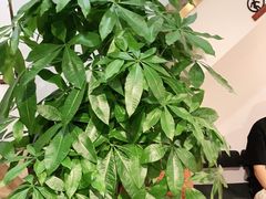 -感智盲人按摩·艾灸·肩颈SPA(岗厦店)