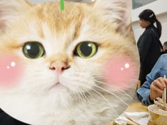 -丁太婆老妈蹄花(人民公园非遗总店)